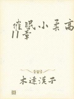 催眠小柔高达第11章