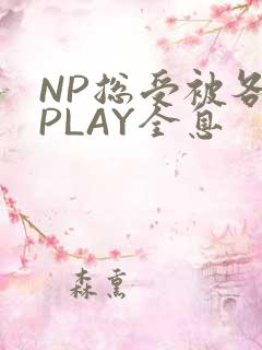 NP总受被各种PLAY全息