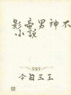 影帝男神不节制 小说