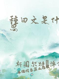 种田文是什么意思