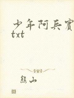 少年阿兵宾小说txt