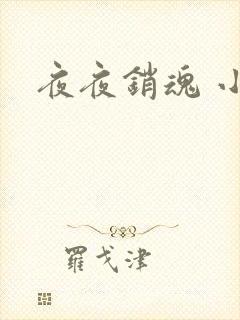 夜夜销魂 小说