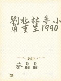 刘北林梦小说主角重生1990
