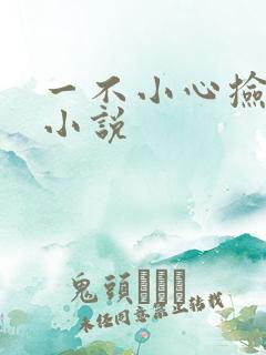 一不小心捡到爱小说