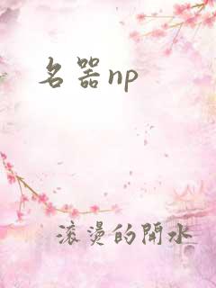 名器np