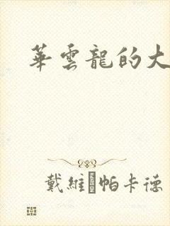 华云龙的大宝贝