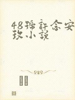 48号许念安穆玫小说