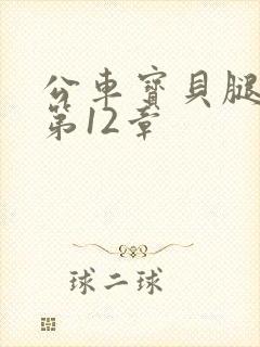 公车宝贝腿开点第12章