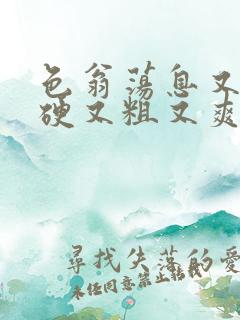 色翁荡息又大又硬又粗又爽电影