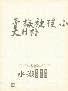 青梅被从小摸到大H补