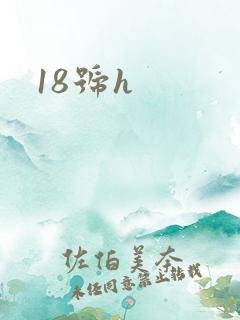 18号h