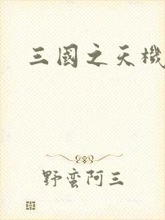 三国之天机军师