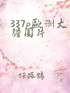337p欧洲大胆图片