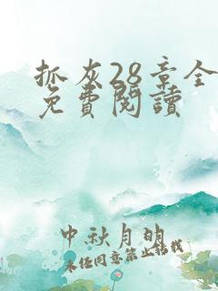 抓灰28章全部免费阅读