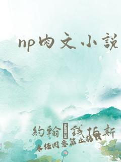 np肉文小说