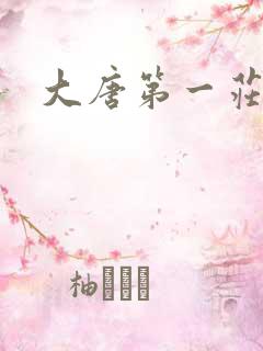 大唐第一庄