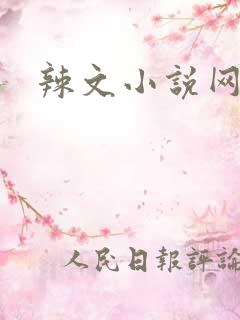 辣文小说网