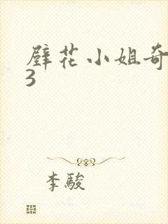 壁花小姐奇遇记3