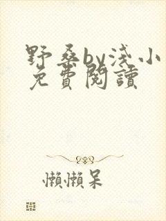 野桑by浅小说免费阅读