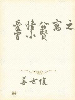 爱情公寓之极品曾小贤