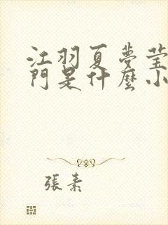 江羽夏梦莹神谕门是什么小说