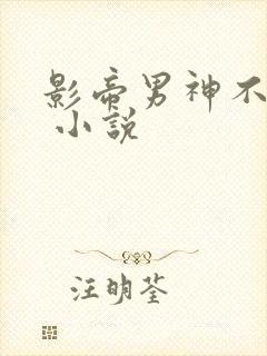 影帝男神不节制 小说