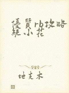 优质rb攻略系统小花