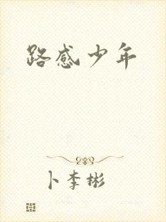 路感少年