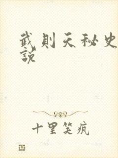 武则天秘史 小说