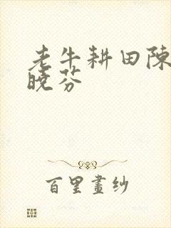 老牛耕田陈雪杨晓芬