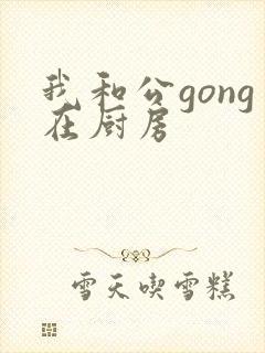 我和公gong在厨房