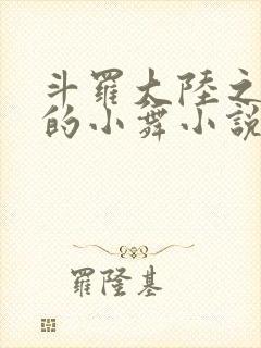 斗罗大陆之Y荡的小舞小说