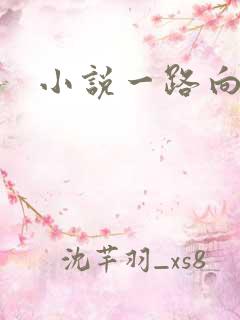 小说一路向西