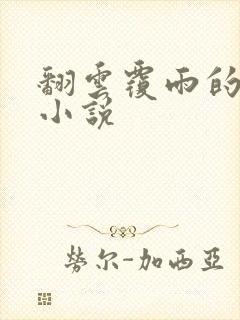 翻云覆雨的秘密小说