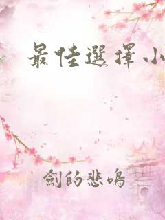 最佳选择小说