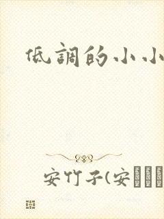 低调的小小宫女