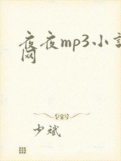夜夜mp3小说网
