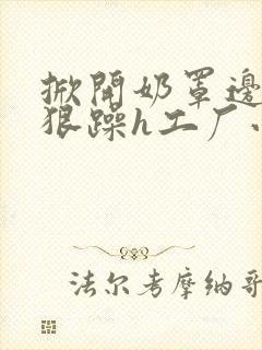 掀开奶罩边躁狠狠躁h工厂小说