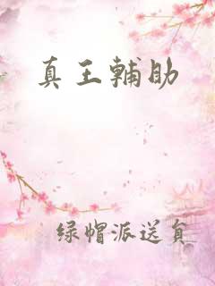 真王辅助