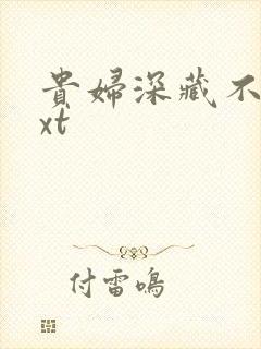 贵妇深藏不露txt