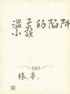 温柔的陷阱周芸小说