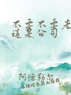 不要不要老板别这是公司