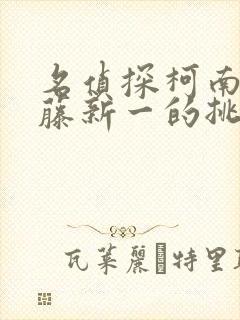 名侦探柯南给工藤新一的挑战书