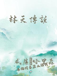 林天传说