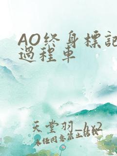 AO终身标记全过程车