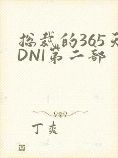 总裁的365天DNI第二部