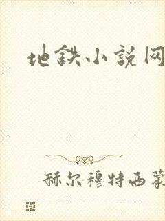 地铁小说网