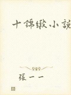 十锦缎小说