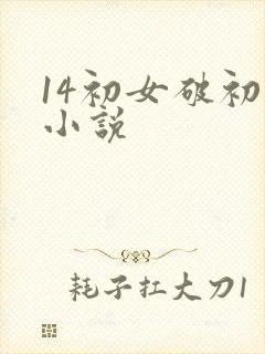 14初女破初的小说