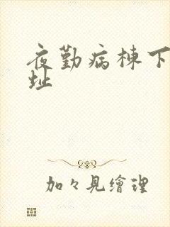 夜勤病栋下载地址